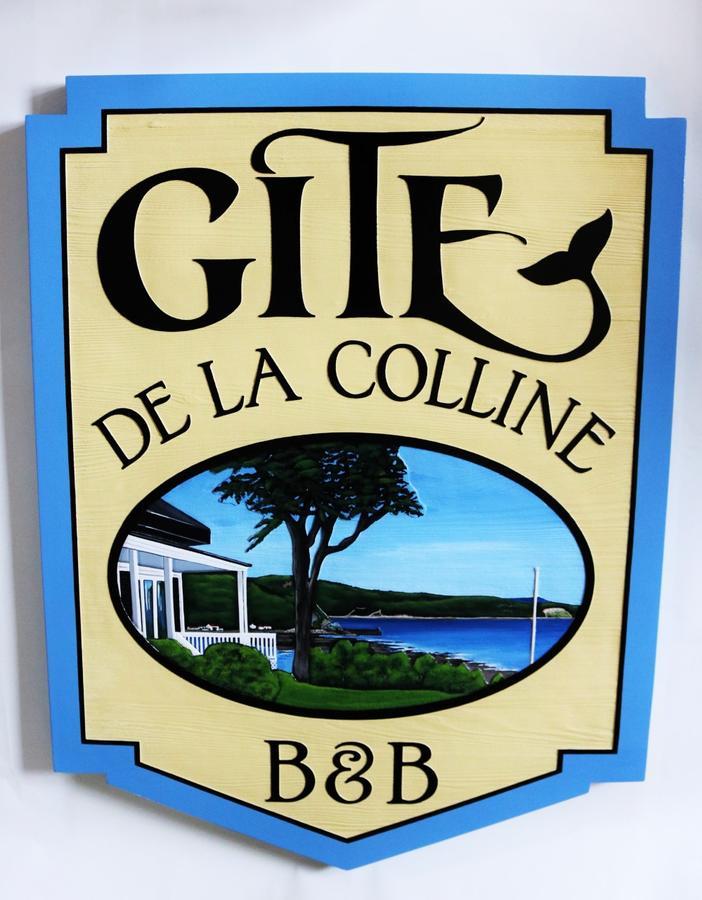 Gite De La Colline Baie-Sainte-Catherine Ngoại thất bức ảnh